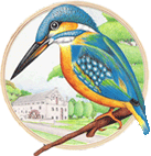 Logo ijsvogel